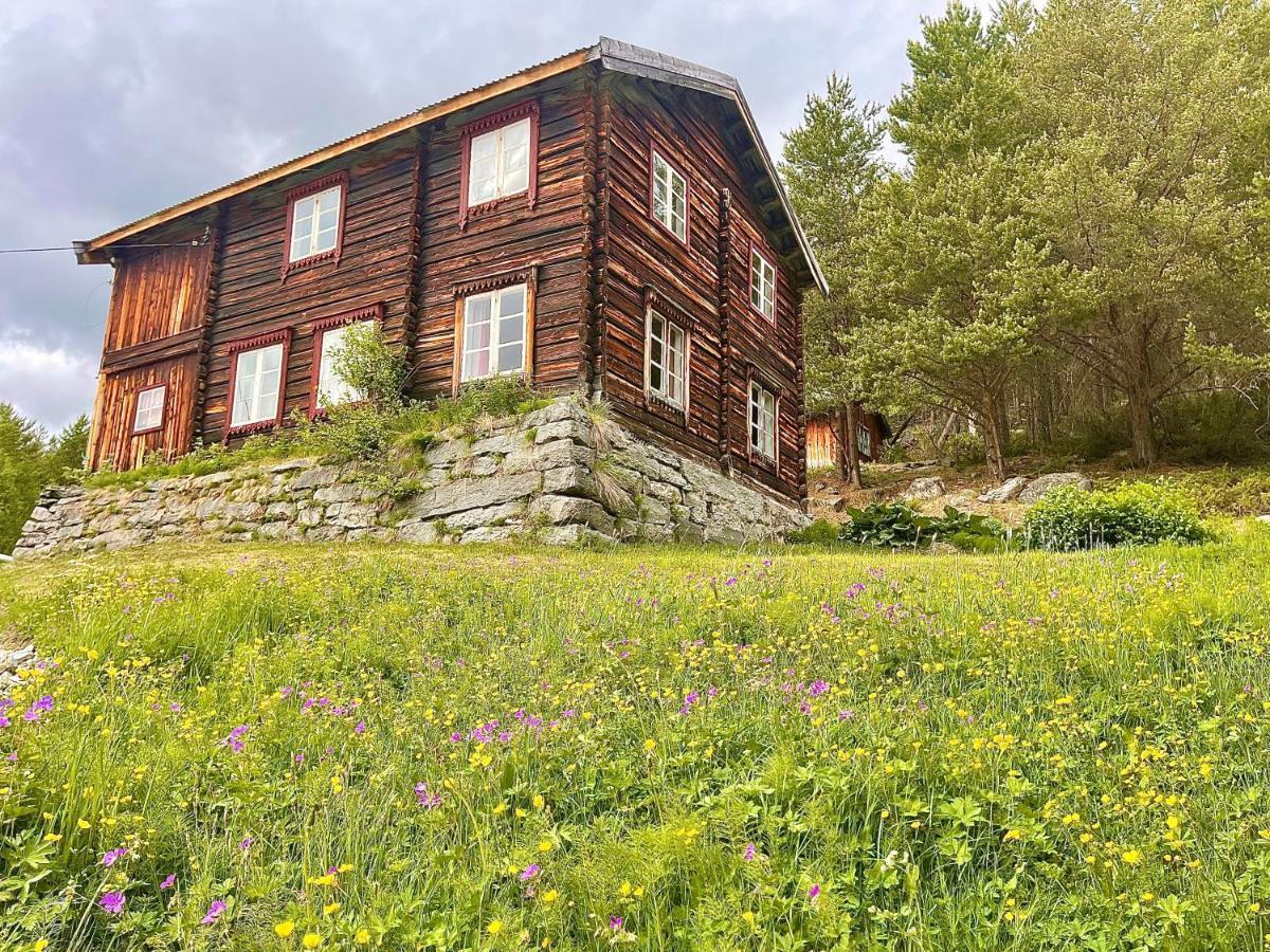 Reinheimen Lodge Skjåk Exterior foto